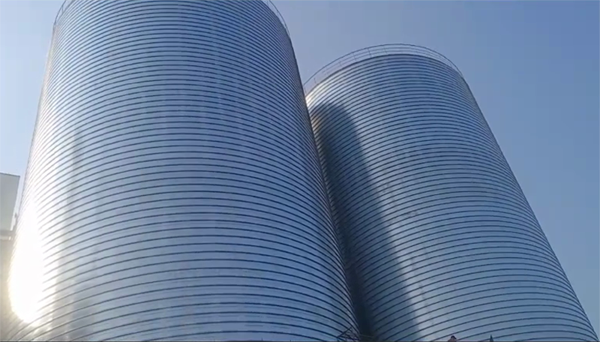 塔城2座混凝土高架卷板仓